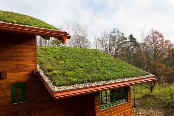 green roof house
